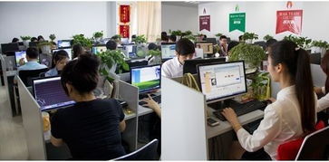 假期結(jié)束的惆悵與教育咨詢(xún)的冷靜反思